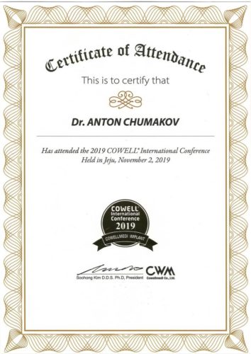 Чумаков А.С. сертификат 11.2019