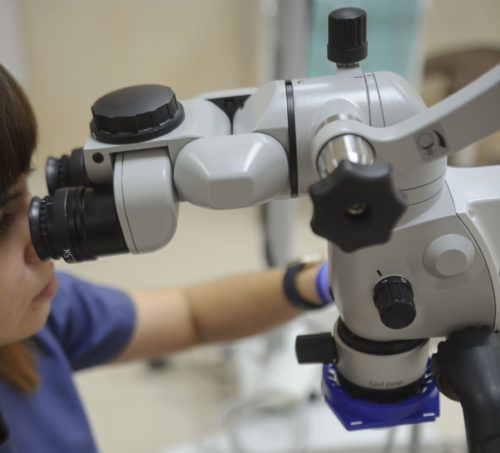 Дентальный микроскоп Carl Zeiss Pica Mora