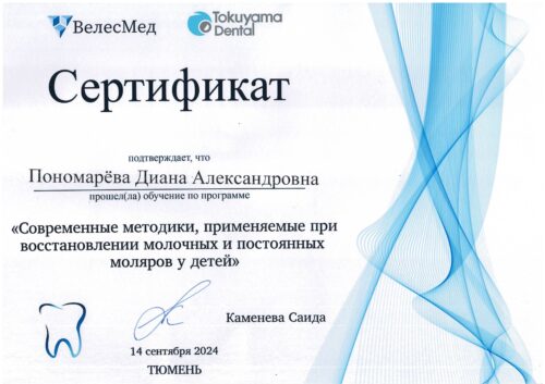 Пономарева сертиф 2024