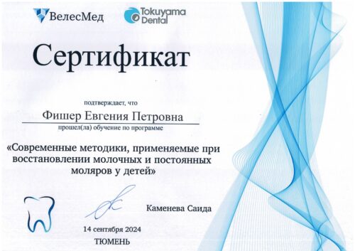 Фишер сертификат 2024